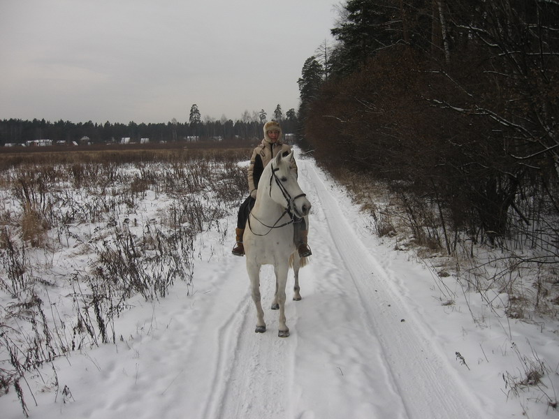 IMG_1384.jpg1.jpg"%20height="600"%20width="800